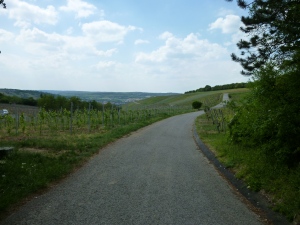 A path leading from the town of Gerbrunn to Randersacker.